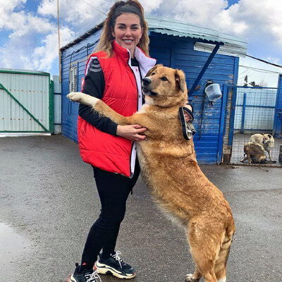 Анна Седокова пристраивает собак