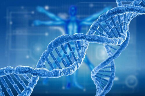 Исследование раскрывает историю эволюции генетических вариаций ДНК человека