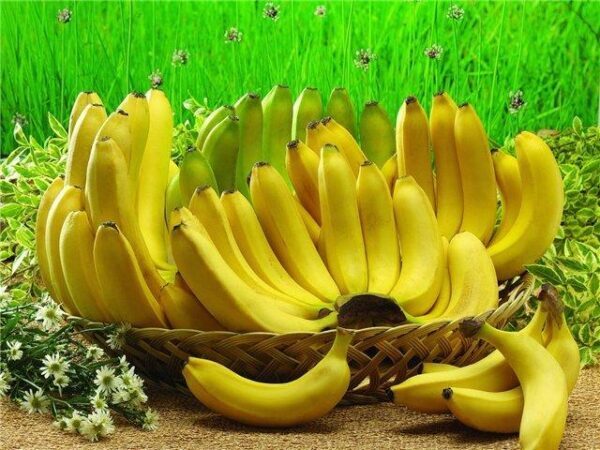 Полезные свойства бананов для организма человека, о которых вы не знали
