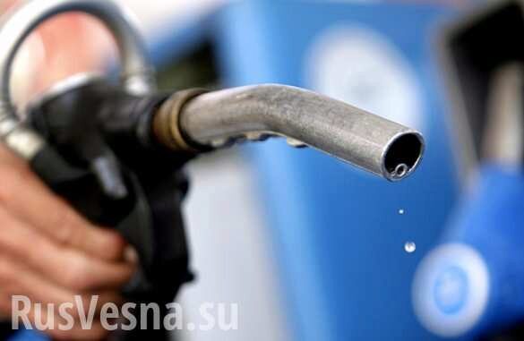 Правительство продлило заморозку цен на бензин