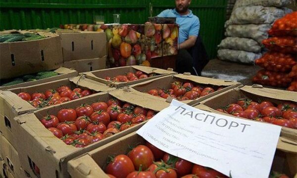 Россия может запретить ввоз растительной продукции через Беларусь