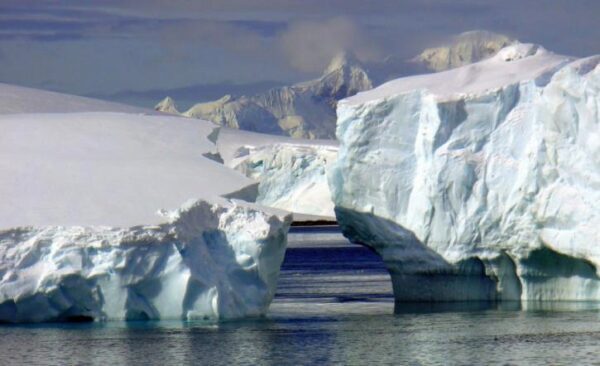 В Антарктиде вскоре появятся «гости», миру будут представлены поразительные факты