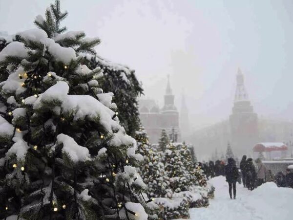 Жителей Москвы предупредили о предстоящем мощном снегопаде