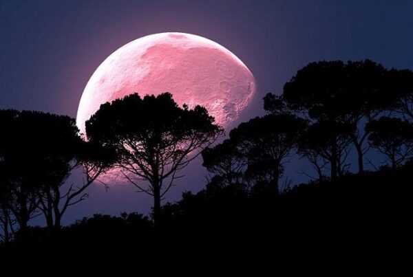 Астрологи предупредили о «розовом полнолунии»