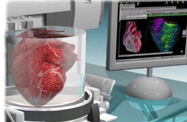 Израильские ученые напечатали сердце из человеческой ткани на 3D принтере