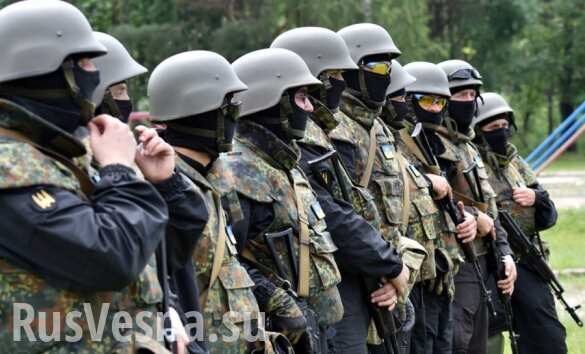 Киев в панике стягивает нацистов на Донбасс: сводка о военной ситуации