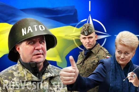 НАТО увеличивает взносы «на поддержку Украины»