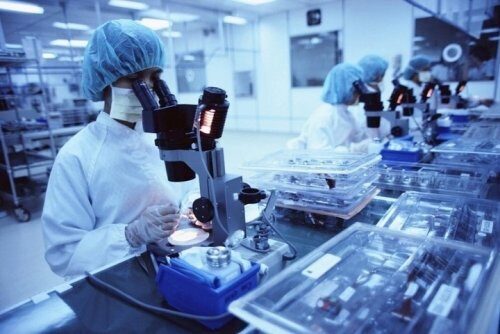 Немецкие ученые работают над созданием прозрачных человеческих органов