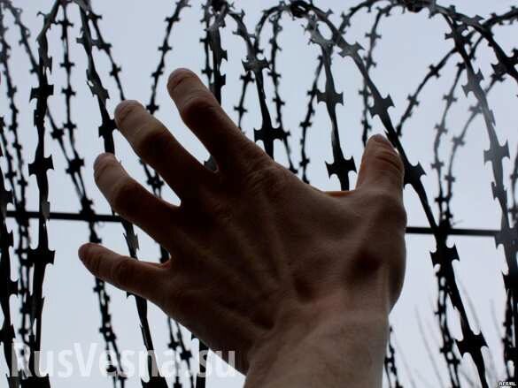 Порошенко будет сидеть в тюрьме — замглавы администрации президента Украины