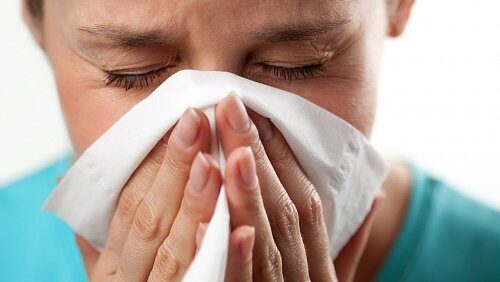 Роспотребнадзор: Сезонная аллергия на пыльцу может быть побеждена