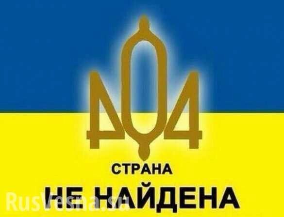 «Украины — нет!» — знаменитый европейский доброволец