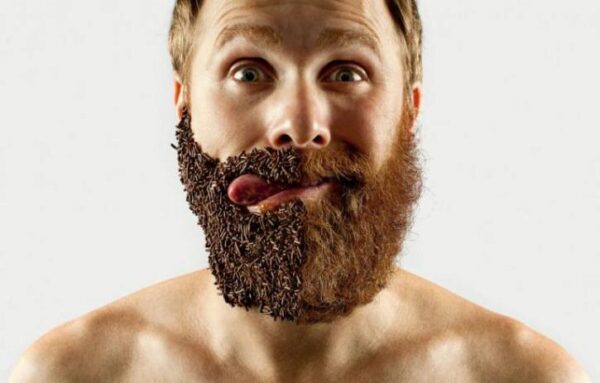 В мужской бороде микробов больше, чем в собачьей шерсти, - уверяют врачи