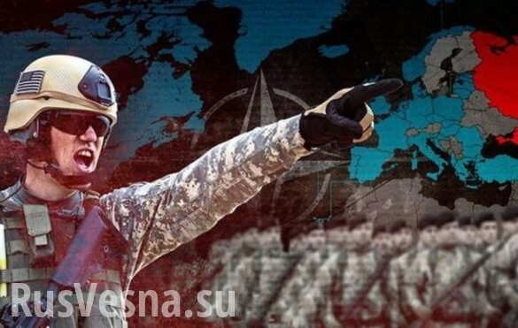 Военный советник Зеленского грозит ударом «там, где его не ожидают» и просит отпустить его в НАТО