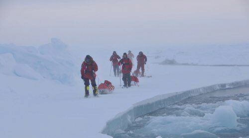 Возникновение полыньи: исследование раскрывает 43-летнюю тайну Антарктиды