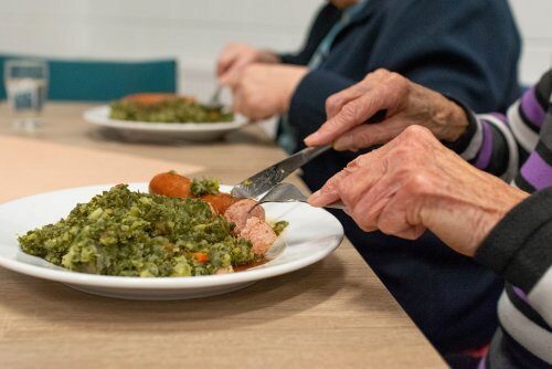 Одна Питерская жалобщица лишила бесплатных обедов 500 пенсионеров
