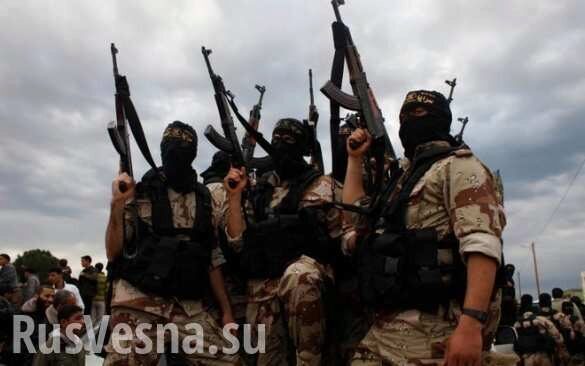 Сирия: террористы жалуются, что армия травит их, как крыс