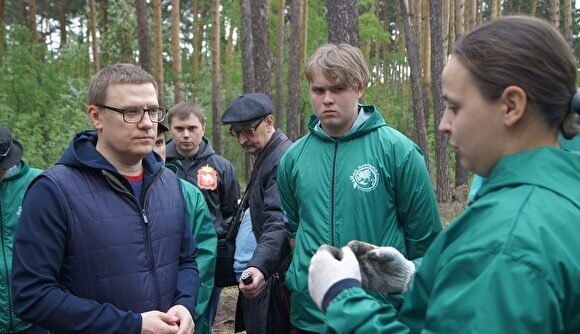 Текслер высадил сосны в городском бору Челябинска
