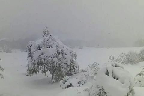 В Вологде чиновники пошли искать снег в мае