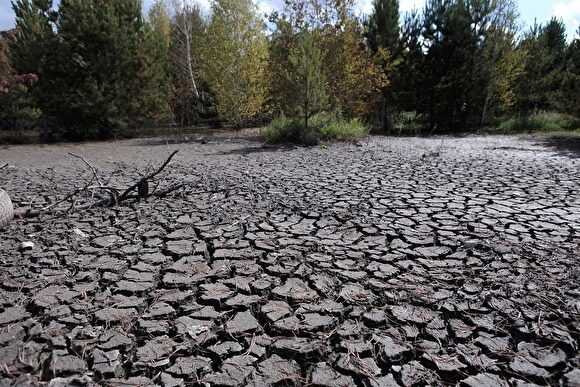 Аналитик считает неэффективной раздачу земли в Курганской области, инициированной Шумковым