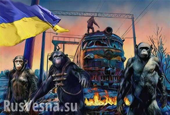 В ЛНР и ДНР ответили на условие Киева по снятию блокады