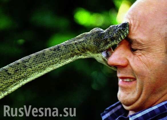 В Одессе началось нашествие змей (ФОТО, ВИДЕО)