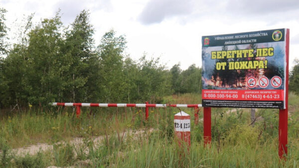 В Липецкой области леса закрыли для посещения