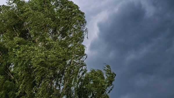 В МЧС предупредили о сильном ветре в Липецкой области до 11 мая