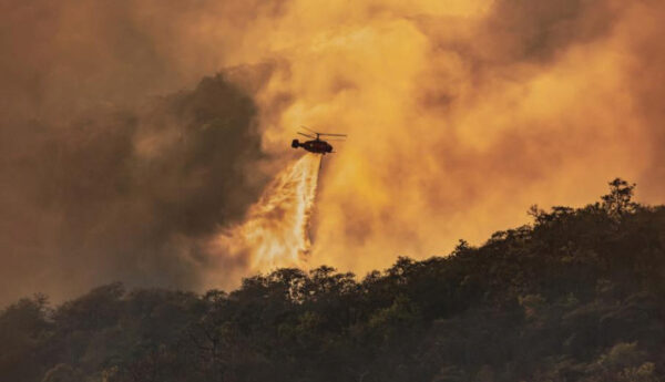 В Мармарисе из-за лесных пожаров началась эвакуация туристов (видео)