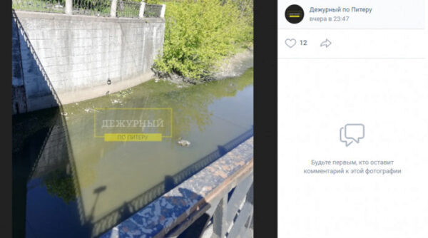 Петербуржцы пожаловались на грязевой фонтан в реке Волковка