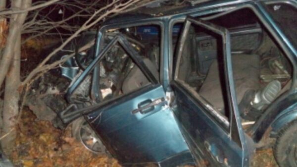 24-летний водитель «ВАЗ-21099» врезался в дерево. Пострадали два человека