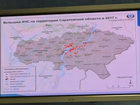 АЧС нанесла Саратовской области ущерб в 40 миллионов