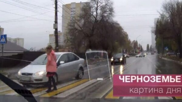 Бессмертный пешеход и «слепой» водитель встретились на «зебре» (видео)