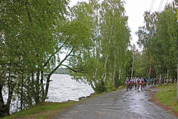 Екатеринбургский лесопарк благоустроят за 8 млн. рублей