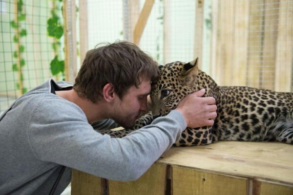 Госдума: Закон о запрете контактных зоопарков примут в осеннюю сессию