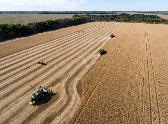 Кокорин призвал собрать рекордный урожай — 2,2 млн тонн зерна