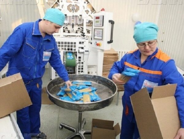 Лапшу и молоко в индустриальных объемах собрались выпускать корейские инвесторы на Ставрополье