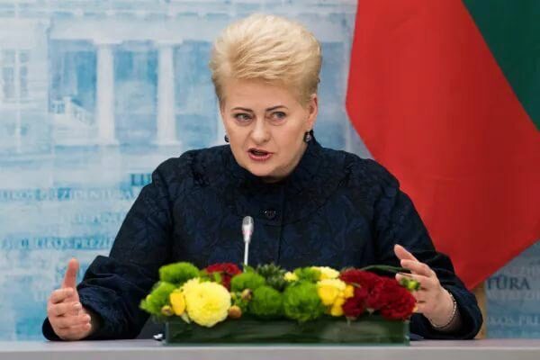 Литва объявила БелАЭС угрожающим геополитическим проектом России и призвала ЕС к блокированию