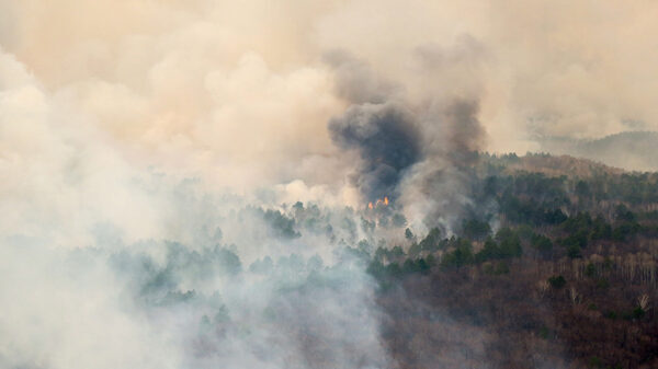 МЧС увеличит группировку сил и средств для тушения лесных пожаров в Приморье