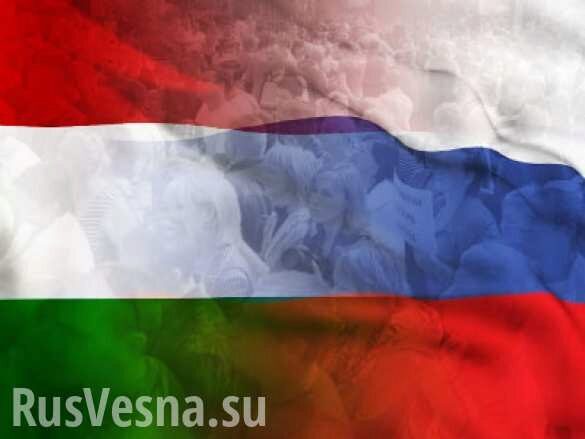 МИД России и Венгрии раскритиковали политику Киева по тотальной украинизации