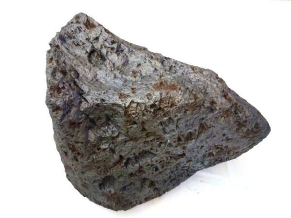 На интернет-аукцион выставлен фрагмент старейшего метеорита