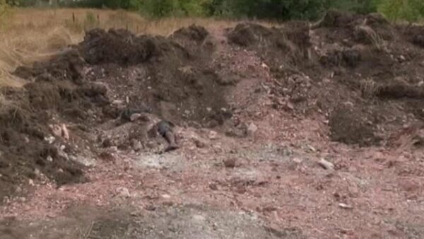 На стройплощадке под Смоленском нашли десятки человеческих останков