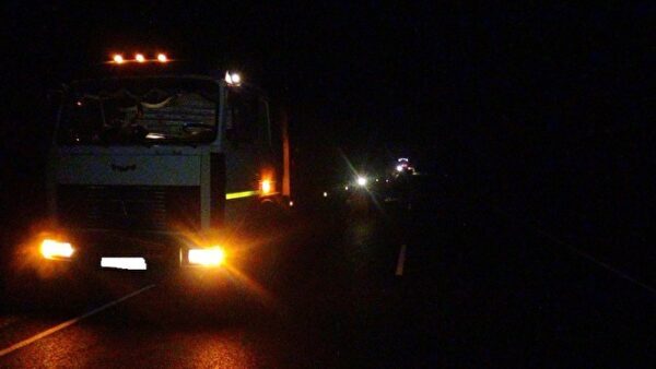 На трассе в Зауралье при столкновении легковушки и грузовика погибли 3 человека