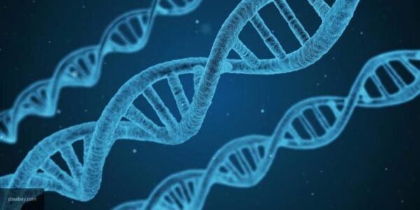 Одиночные мутации в ДНК исправит изобретенный учеными «корректор»