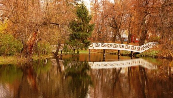 Парк развлечений по сказкам Пушкина хотят создать в Большом Болдине