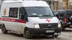 Под колесами грузовика в Нижегородской области погибли три человека