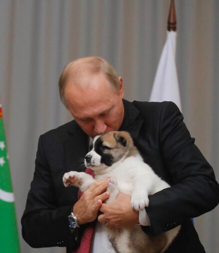 Президент Туркменистана подарил Путину милого щенка алабая