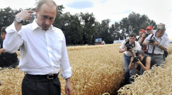 Путин: В этом году в России ожидается рекордный урожай зерновых