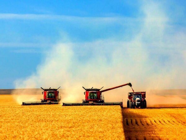 Россия обвинила Евросоюз в агрессивном субсидировании аграриев