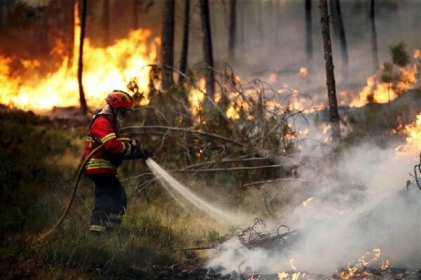 Руководитель МВД Португалии подала в отставку из-за ситуации с лесными пожарами