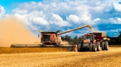Руководство может отменить экспортные пошлины на зерно